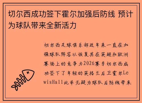 切尔西成功签下霍尔加强后防线 预计为球队带来全新活力 切尔西成功签下霍尔加强后防线 预计为球队带来全新活力